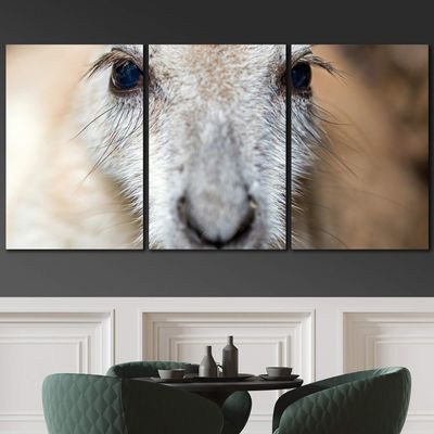 SIGNLEADER Kangaroo Portrait Wall Art Animals Canvas Prints for Living Room Bedroom Multicolor Photography - 24"x36" x 3 Panels