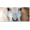 SIGNLEADER Kangaroo Portrait Wall Art Animals Canvas Prints for Living Room Bedroom Multicolor Photography - 24"x36" x 3 Panels view 2