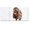 SIGNLEADER Monkey in The Snow Wall Art Animals Canvas Prints for Living Room Bedroom Multicolor Photography - 24"x36" x 3 Panels view 2