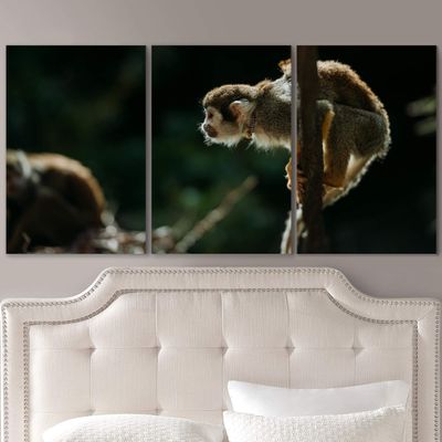 SIGNLEADER Baby Monkey on a Branch Wall Art Animals Canvas Prints for Living Room Bedroom Multicolor Photography - 24"x36" x 3 Panels
