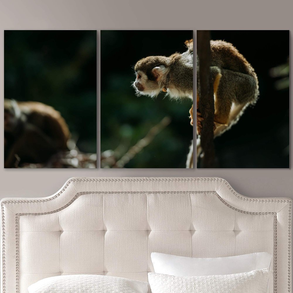 SIGNLEADER Baby Monkey on a Branch Wall Art Animals Canvas Prints for Living Room Bedroom Multicolor Photography - 24"x36" x 3 Panels