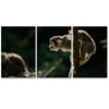 SIGNLEADER Baby Monkey on a Branch Wall Art Animals Canvas Prints for Living Room Bedroom Multicolor Photography - 24"x36" x 3 Panels view 2