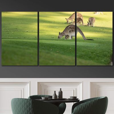 SIGNLEADER Kangaroo Wall Art Animals Canvas Prints for Living Room Bedroom Multicolor Photography - 24"x36" x 3 Panels