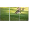 SIGNLEADER Kangaroo Wall Art Animals Canvas Prints for Living Room Bedroom Multicolor Photography - 24"x36" x 3 Panels view 2