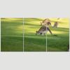 SIGNLEADER Kangaroo Wall Art Animals Canvas Prints for Living Room Bedroom Multicolor Photography - 24"x36" x 3 Panels view 3