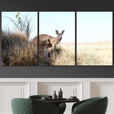 SIGNLEADER Lone Kangaroo Wall Art Animals Canvas Prints for Living Room Bedroom Multicolor Photography - 24"x36" x 3 Panels