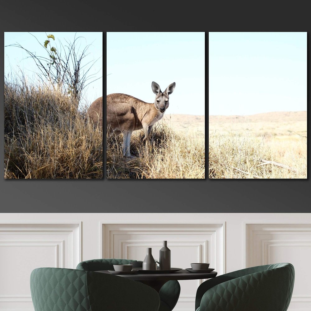 SIGNLEADER Lone Kangaroo Wall Art Animals Canvas Prints for Living Room Bedroom Multicolor Photography - 24"x36" x 3 Panels