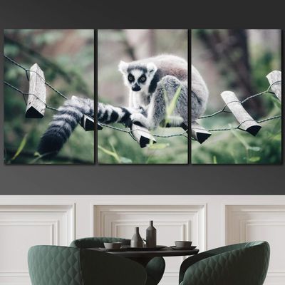 SIGNLEADER Lone Lemur Wall Art Animals Canvas Prints for Living Room Bedroom Multicolor Photography - 24"x36" x 3 Panels