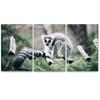 SIGNLEADER Lone Lemur Wall Art Animals Canvas Prints for Living Room Bedroom Multicolor Photography - 24"x36" x 3 Panels view 2