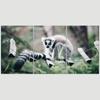 SIGNLEADER Lone Lemur Wall Art Animals Canvas Prints for Living Room Bedroom Multicolor Photography - 24"x36" x 3 Panels view 3