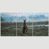 SIGNLEADER Lone Kangaroo Wall Art Animals Canvas Prints for Living Room Bedroom Multicolor Photography - 24"x36" x 3 Panels view 3