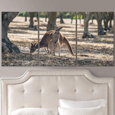 SIGNLEADER Lone Kangaroo Wall Art Animals Canvas Prints for Living Room Bedroom Multicolor Photography - 24"x36" x 3 Panels