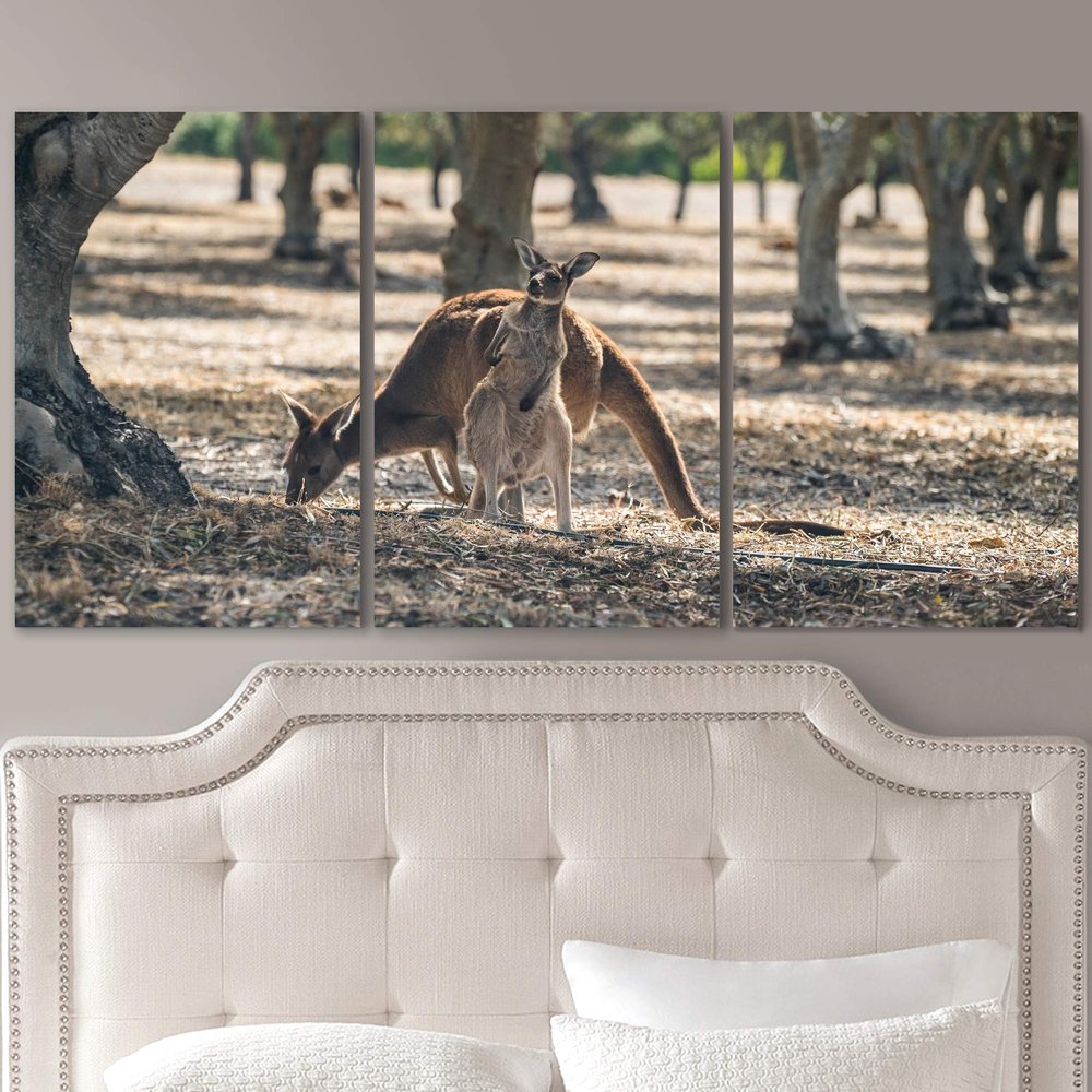 SIGNLEADER Lone Kangaroo Wall Art Animals Canvas Prints for Living Room Bedroom Multicolor Photography - 24"x36" x 3 Panels