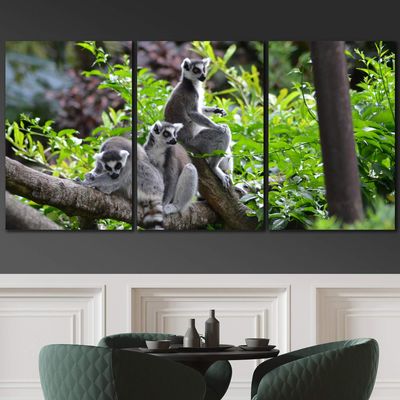 SIGNLEADER Lemurs on a Branch Wall Art Animals Canvas Prints for Living Room Bedroom Multicolor Photography - 24"x36" x 3 Panels