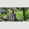 SIGNLEADER Lemurs on a Branch Wall Art Animals Canvas Prints for Living Room Bedroom Multicolor Photography - 24"x36" x 3 Panels view 3
