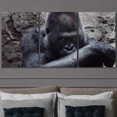 SIGNLEADER Cautious Gorilla Wall Art Animals Canvas Prints for Living Room Bedroom Multicolor Photography - 24"x36" x 3 Panels