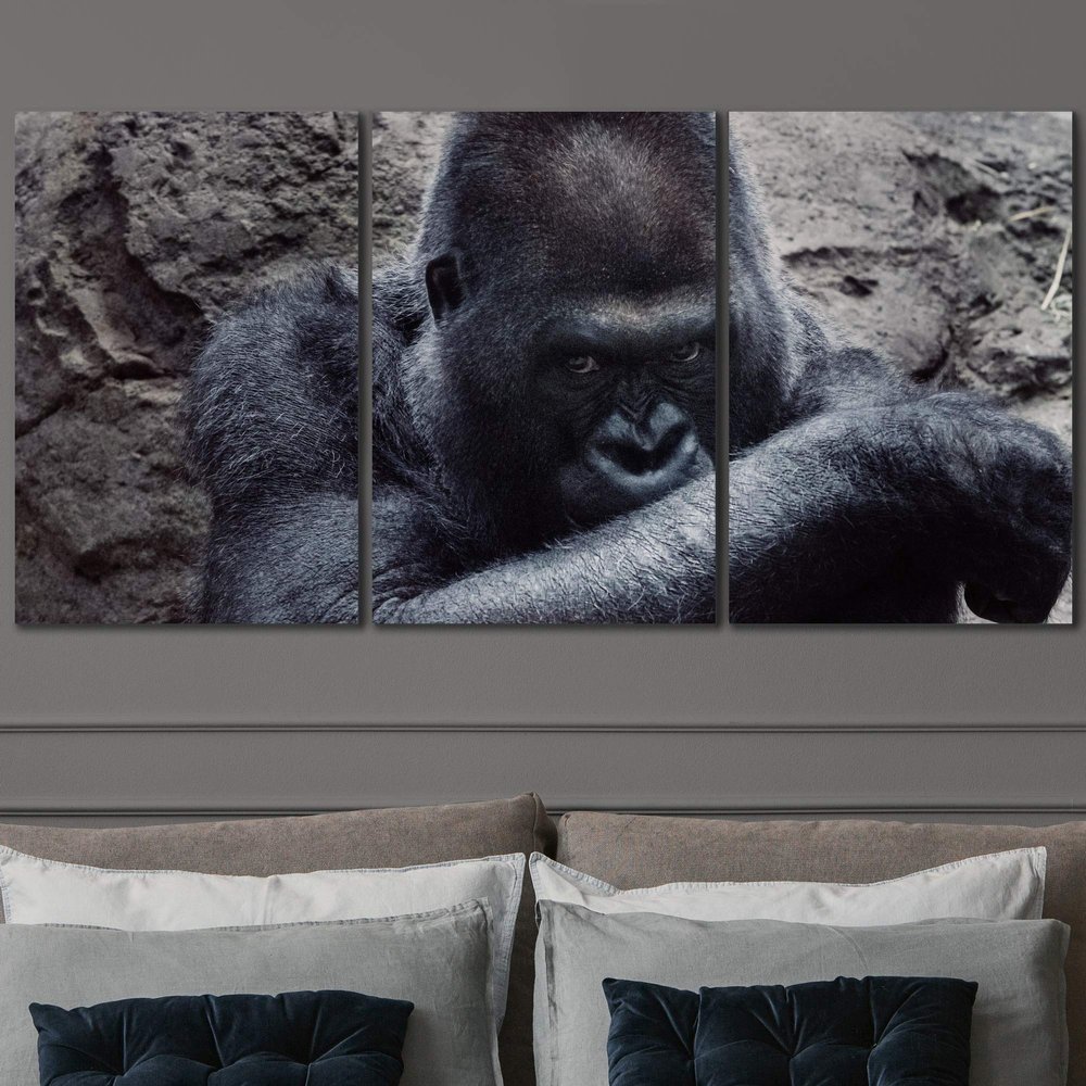 SIGNLEADER Cautious Gorilla Wall Art Animals Canvas Prints for Living Room Bedroom Multicolor Photography - 24"x36" x 3 Panels