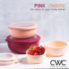 COOK WITH COLOR Prep Bowls with Lids- Wide and Deep Nesting Plastic Small Mixing Bowl Set with Lids, 8 Piece Set - Wide Bowls, Rose view 3