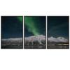 SIGNWIN 3 Piece Framed Canvas Wall Art Dayspring Canvas Prints Home Artwork Decoration for Living Room,Bedroom - 16"x24"x3 Panels view 2