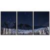 SIGNWIN 3 Piece Framed Canvas Wall Art Starry Sky Canvas Prints Home Artwork Decoration for Living Room,Bedroom - 16"x24"x3 Panels view 2