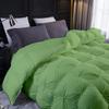 Sage Green All Season Down Alternative Pintuck Comforter- King Size 102 x 92 Inches 1 pc Pinch Pleated Comforter 600 GSM & 4 - Corner Tabs 100% Egyptian Cotton- -Hotel Sage Green Solid view 3