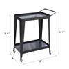ABBLE 2-Tier Metal Frame Bar Cart Rolling Cart Utility Cart, Kitchen Cart Rolling Storage Trolley with Swivel Wheels for Kitchen, Bathroom - Glossy Pearl Ash view 4