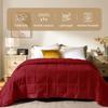 downluxe King Size Blanket with Satin Trim, Lightweight Down Alternative King Blanket for All Season, Machine Washable (Red, 108 x 90 Inch) view 2