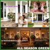 ALL SEASON GREEN 2'T 18''W Boxwood Ball Artificial Topiary Trees Potted Faux Outdoor Plants for Home Porch Decor Set of 2 view 3