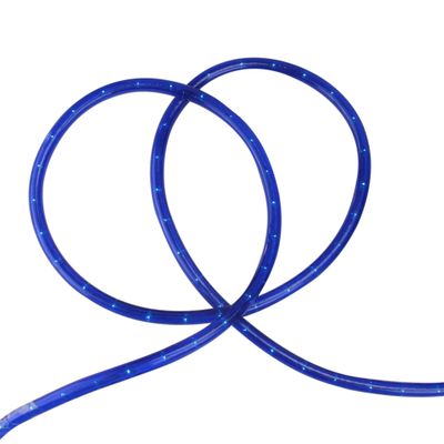 Flexible Incandescent Outdoor Christmas Rope Light - Blue - 100' Blue Wire