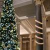 Flexible Incandescent Christmas Rope Light - Clear - 18' Clear Wire view 4