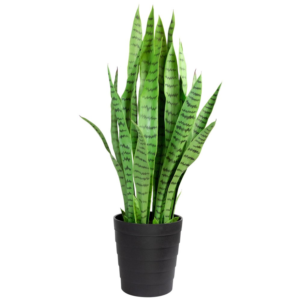 3' Green Two Tone Potted Artificial Snake Plant