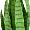 3' Green Two Tone Potted Artificial Snake Plant view 3