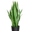 3' Green Two Tone Potted Artificial Snake Plant view 4