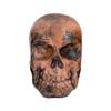 Premier Copper Products TH_SKULL Handcrafted One-of-a-Kind Copper Skull Beer Tap Handle view 1