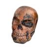 Premier Copper Products TH_SKULL Handcrafted One-of-a-Kind Copper Skull Beer Tap Handle view 3