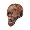 Premier Copper Products TH_SKULL Handcrafted One-of-a-Kind Copper Skull Beer Tap Handle view 4