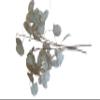 Five Dried Lunaria Stems, 6"-10" Length, with disc-Shaped silicles, for Weddings, Anniversaries, Celebrations. New 2025 Crop! view 1