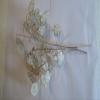 Five Dried Lunaria Stems, 6"-10" Length, with disc-Shaped silicles, for Weddings, Anniversaries, Celebrations. New 2025 Crop! view 2