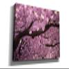 Cortesi Home 'Cherry Blossom Tree Panorama' by Nicklas Gustafsson Canvas Wall Art, 60"x30" view 2
