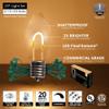 25' C9 FlexFilament Warm White LED Vintage Outdoor Christmas Lights, Shatterproof Vintage Christmas Lights, Green Wire view 3