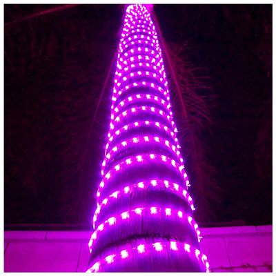 Russell Decor 40ft/12m Led Rope Lights Lamps Kit Indoor Outdoor Decorative Lighting for Party Wedding Valentine's Day Backyard Patio Deck Bright Flexible String Tube Lights Waterproof- Pink