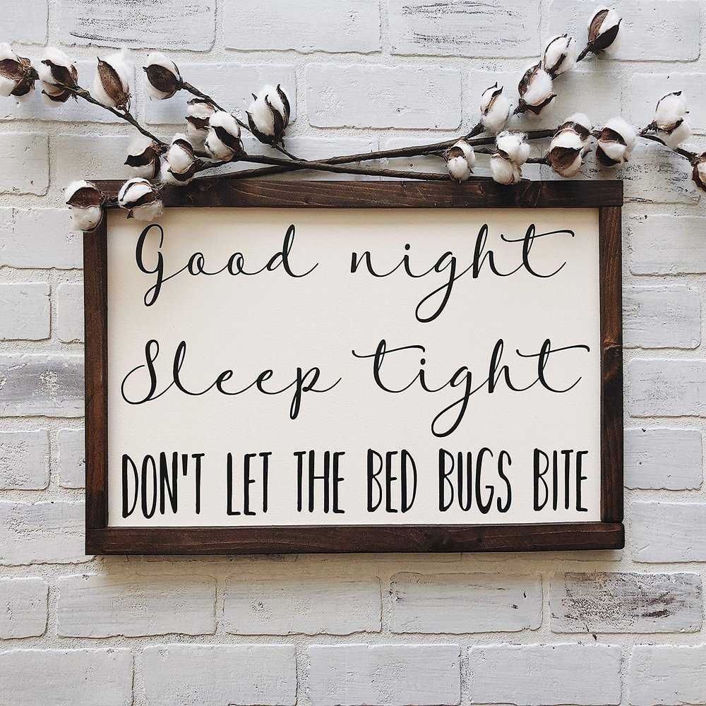 Flowershave357 Good Night Sleep Tight Dont let The Bed Bugs bite Framed Wood Sign Farmhouse Rustic Decor Nursery Decor Children Room Decor
