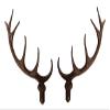 Galapagoz New German Made Plastic Cuckoo Clock Deer Antlers Size 127 mm USA view 1