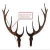 Galapagoz New German Made Plastic Cuckoo Clock Deer Antlers Size 127 mm USA view 4