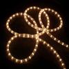 Flexible Incandescent Outdoor Christmas Rope Light - Clear - 100' Clear Wire view 2
