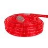 Flexible Incandescent Outdoor Christmas Rope Light - Clear - 100' Red Wire view 1