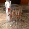 [120 PACK] Plastic Champagne Flutes 5 oz - Hard Plastic Disposable Clear Plastic Glass Like Flutes - Champagne Glasses BPA Free Toasting Flutes - Weddings, Parties, Cocktail Cups, Mimosas, Wine, Sodas view 4