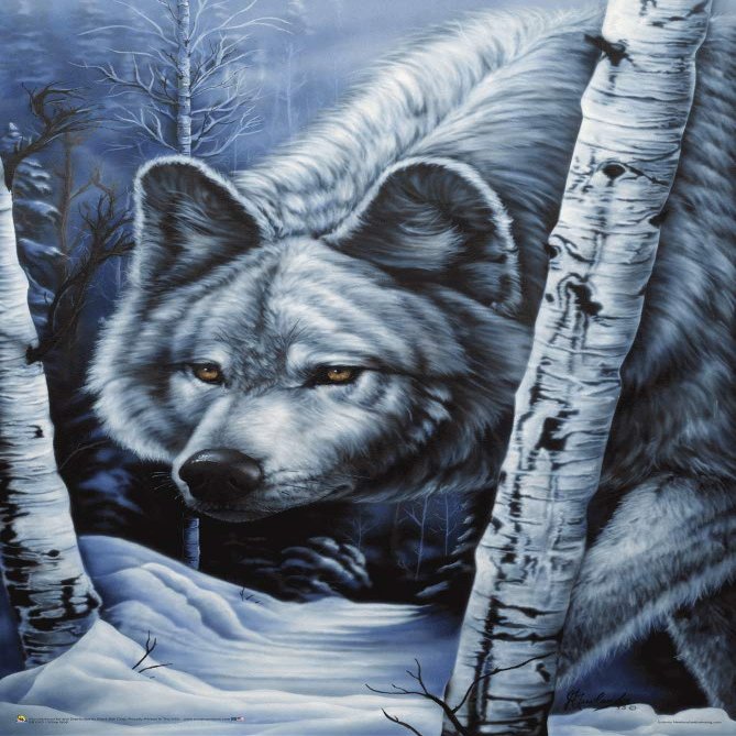 Scorpio Posters White Wolf - by Jenny Newland - Mini Poster - 11" x 17"