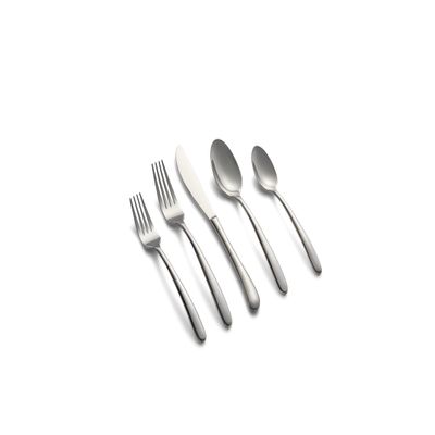 Cambridge Silversmiths 18/0 Jude Mirror 20 Piece Flatware Set, Service for Four, silver