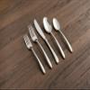 Cambridge Silversmiths 18/0 Jude Mirror 20 Piece Flatware Set, Service for Four, silver view 2